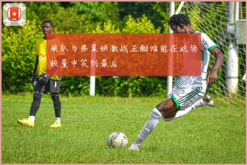 狼队与弗莱顿激战正酣谁能在这场较量中笑到最后