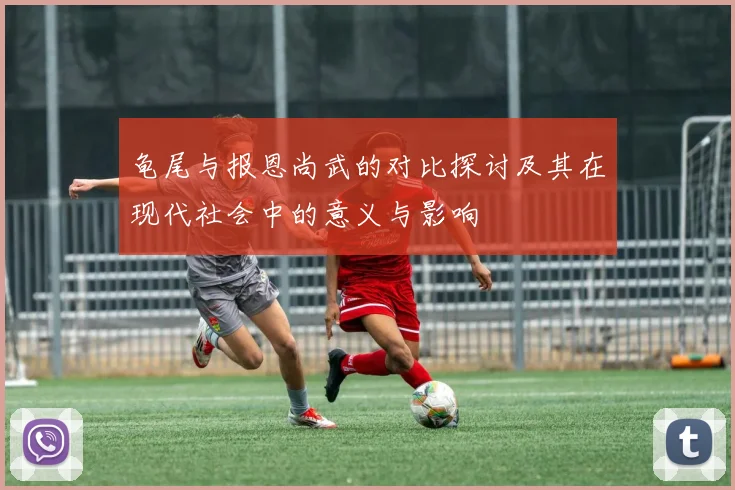 龟尾与报恩尚武的对比探讨及其在现代社会中的意义与影响