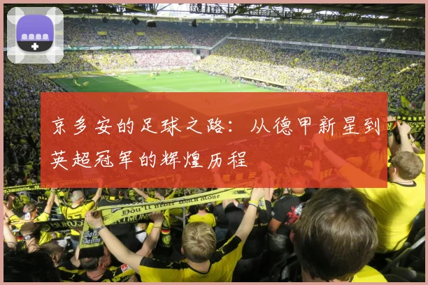 京多安的足球之路：从德甲新星到英超冠军的辉煌历程