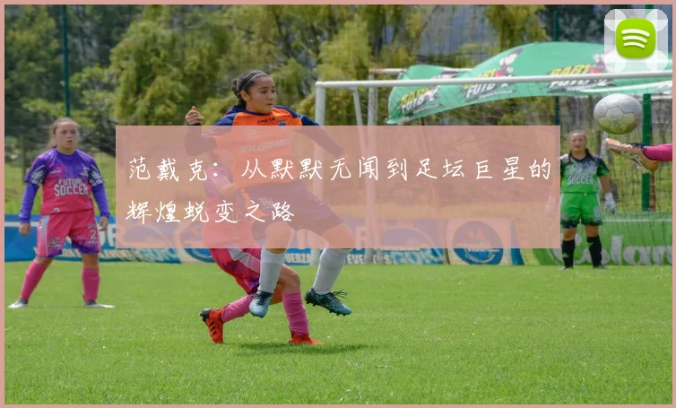 范戴克：从默默无闻到足坛巨星的辉煌蜕变之路